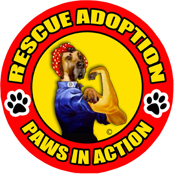 Rescue Adoption, Inc