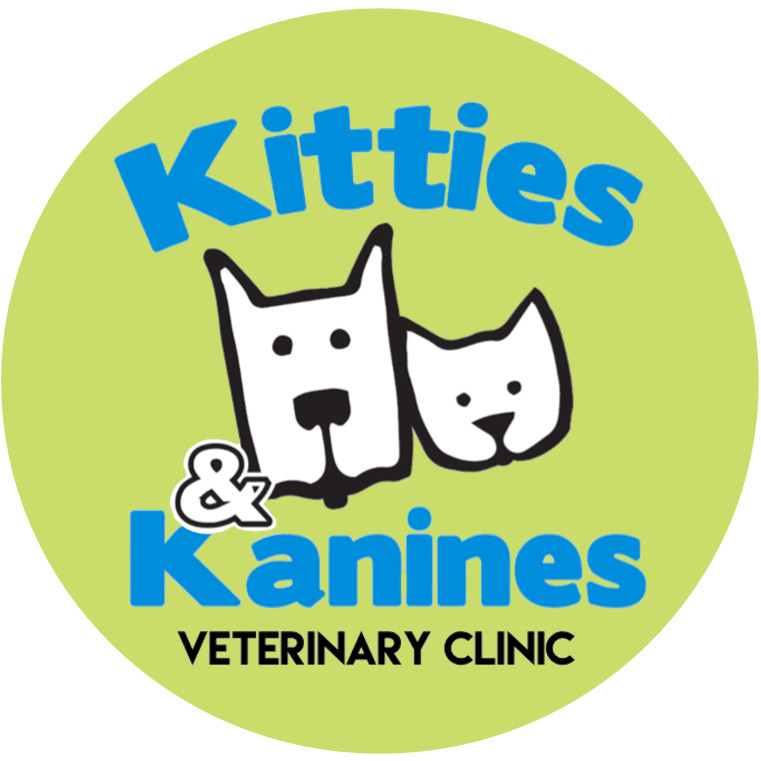 Pets for Adoption at Kitties and Kanines Veterinary Clinic, in Fort ...