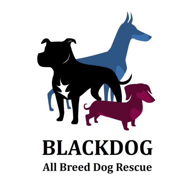 Blackdog All Breed Dog Rescue
