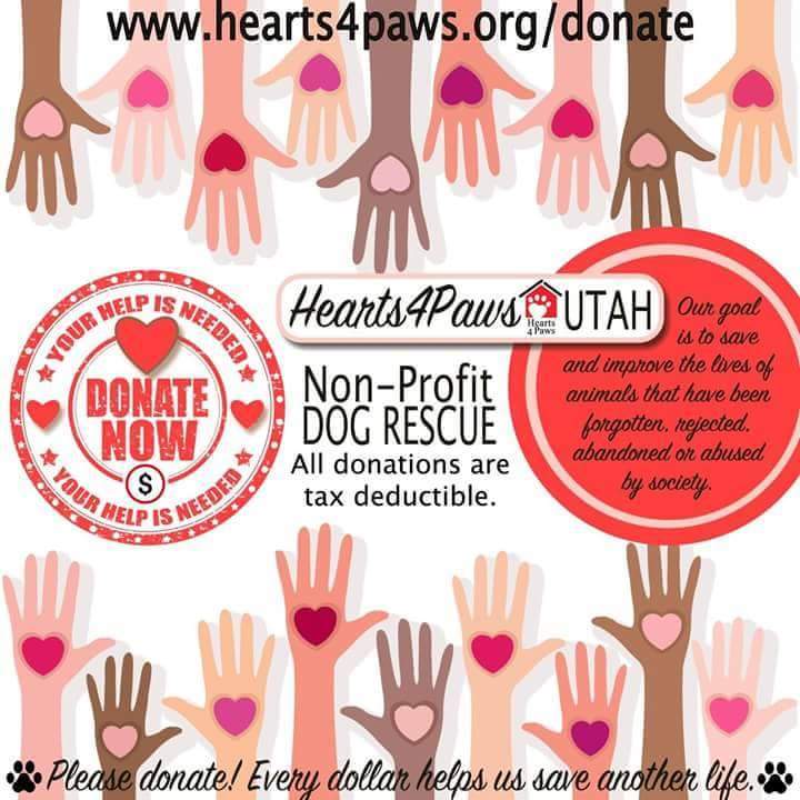 Hearts for best sale paws rescue