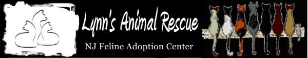 Lynn's Animal Rescue