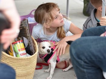 Children and dogs