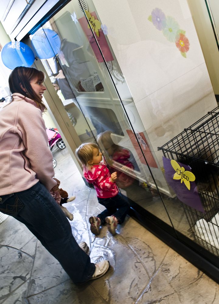 Our adoption area in the waiting room