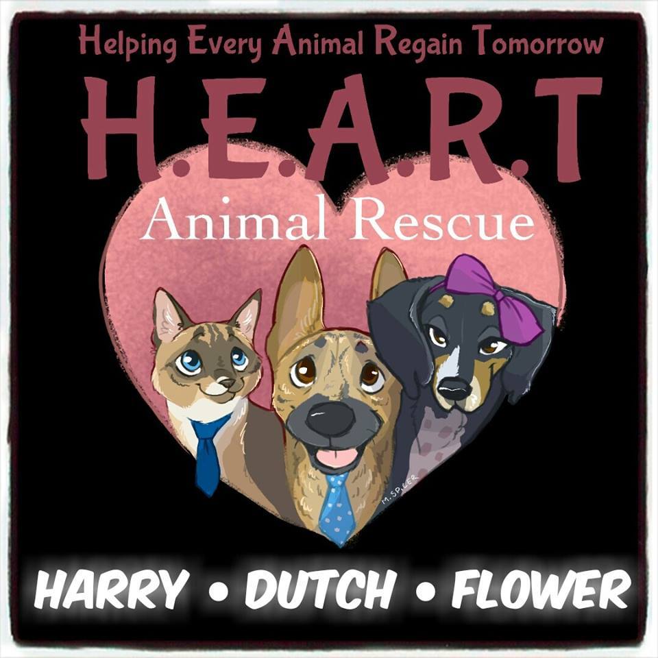 Pets for Adoption at H.E.A.R.T. Animal Rescue, in Defuniak Springs, FL