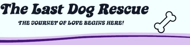 THE LAST DOG RESCUE, INC