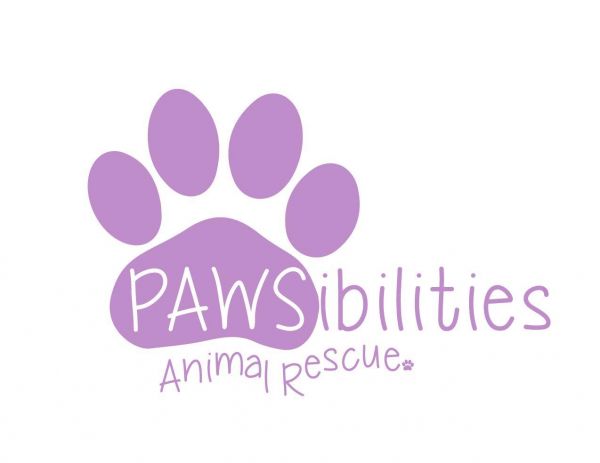 PAWSibilities Animal Rescue