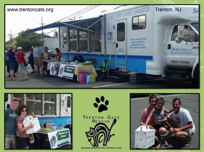 Trenton Cats Rescue