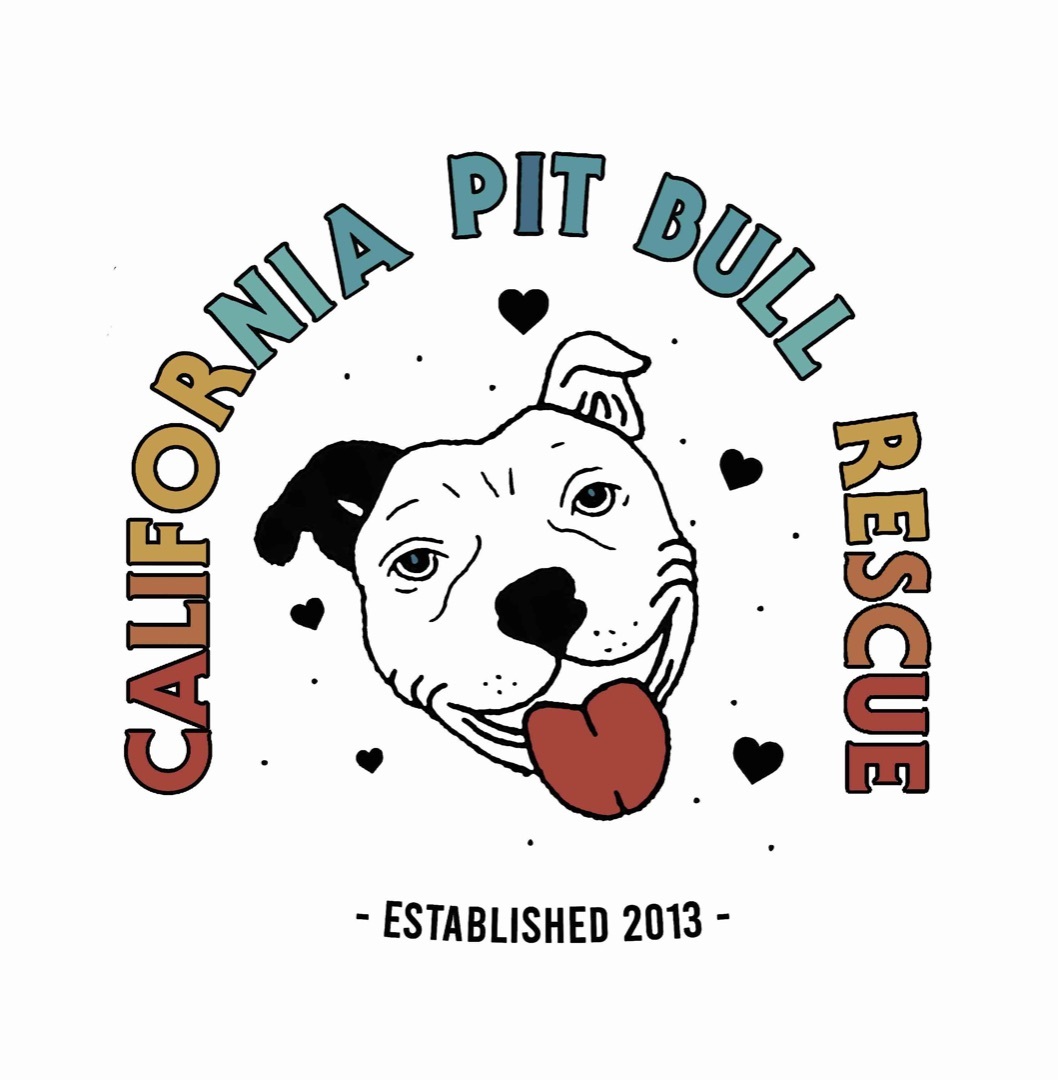 Get a bull store rescue