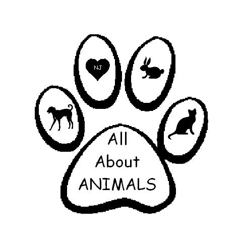 All About Animals NJ