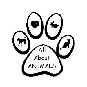 All About Animals NJ
