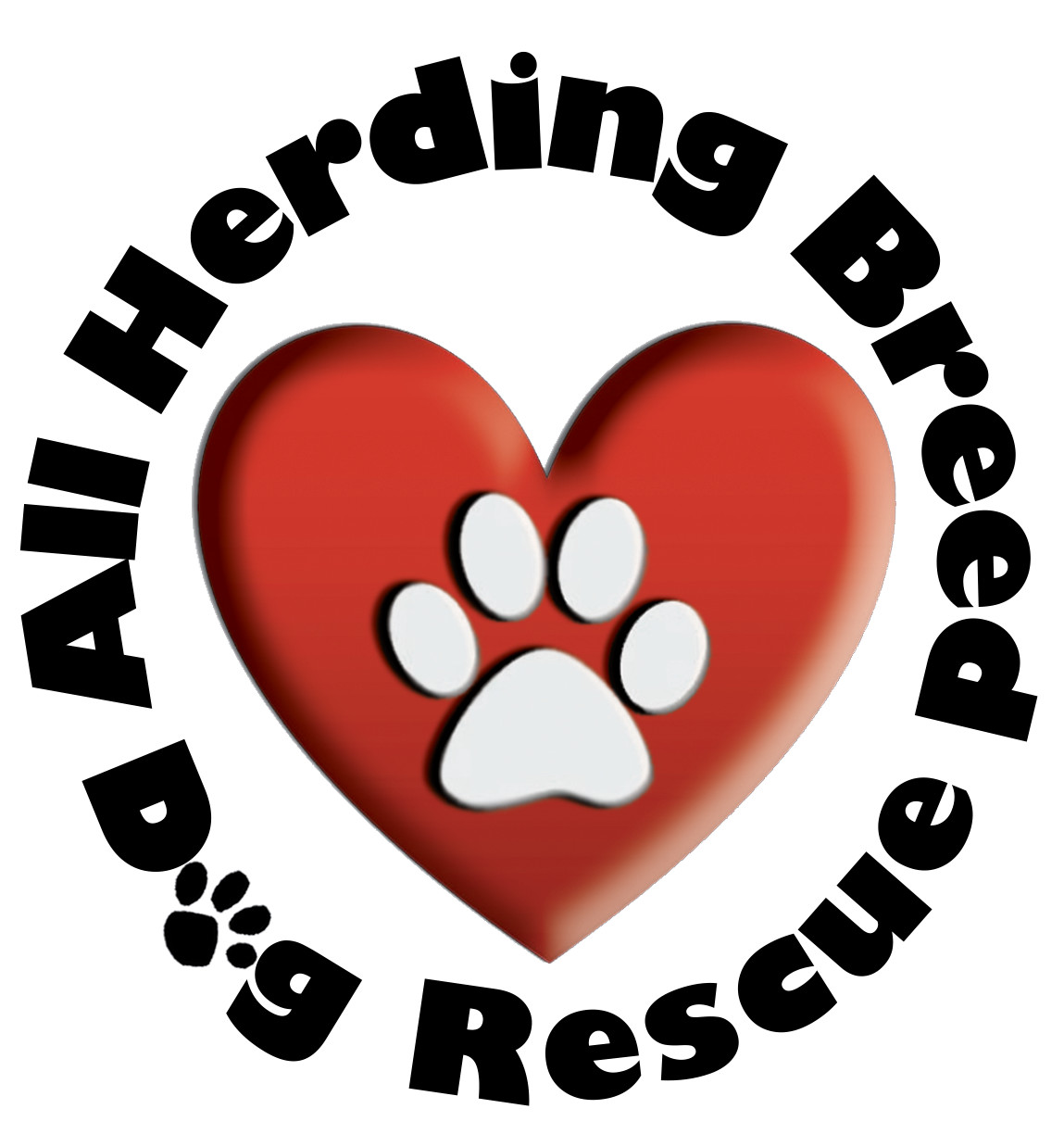 All breed puppy store rescue