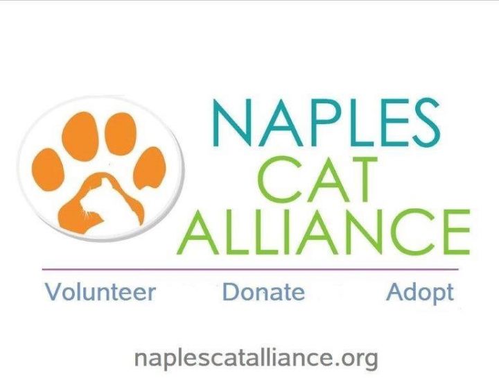 www.naplescatalliance.org