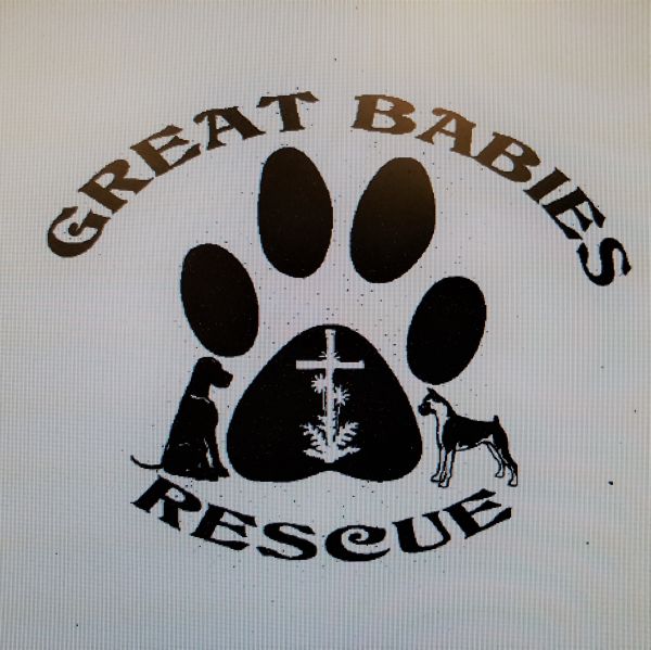 Great Babies Rescue Inc.