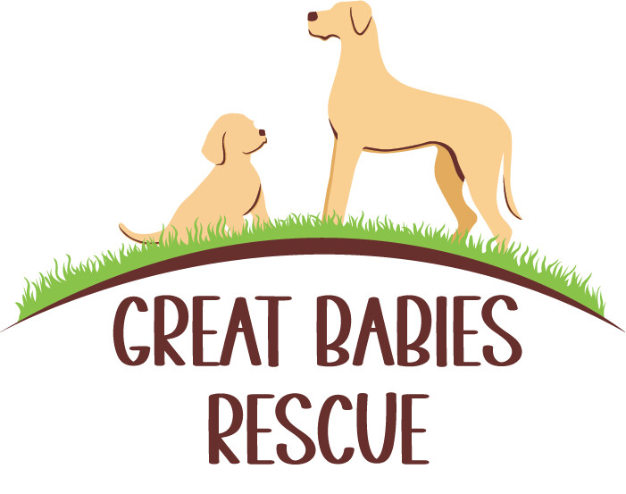 Great Babies Rescue Inc.