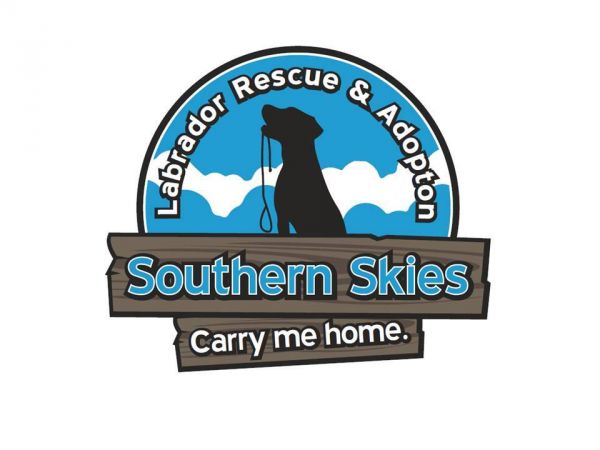 Southern Skies Labrador Rescue & Adoption, Inc.