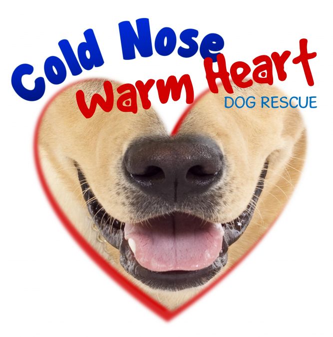 Cold Nose Warm Heart Dog Rescue