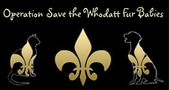 Advocate & Rescue-Sue's Mews & Operation Save the Whodatt Fur Babies