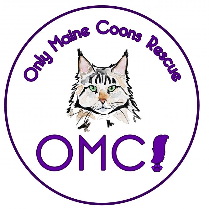 Only Maine Coons Rescue