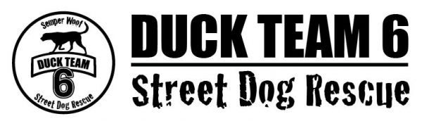 Duck Team 6