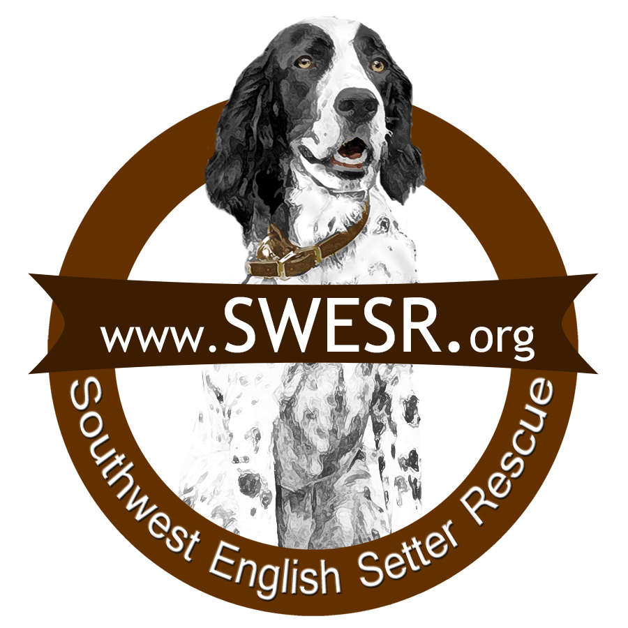 Southwest English Setter Rescue
