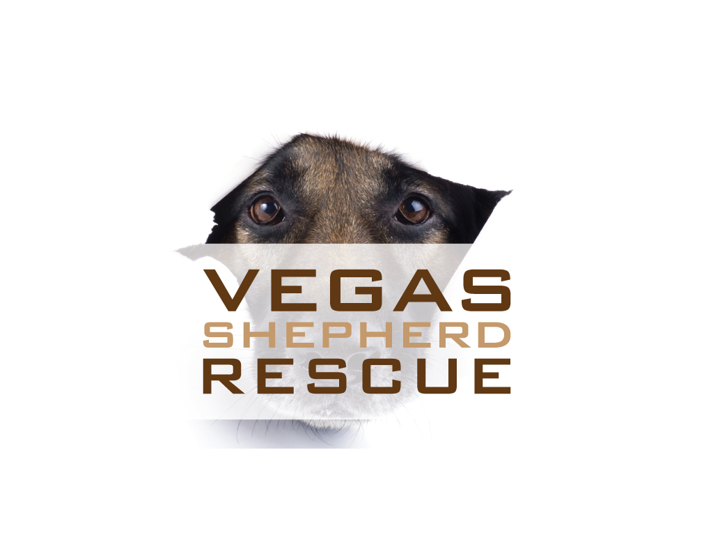 Vegas Shepherd Rescue, in Las Vegas, NV 