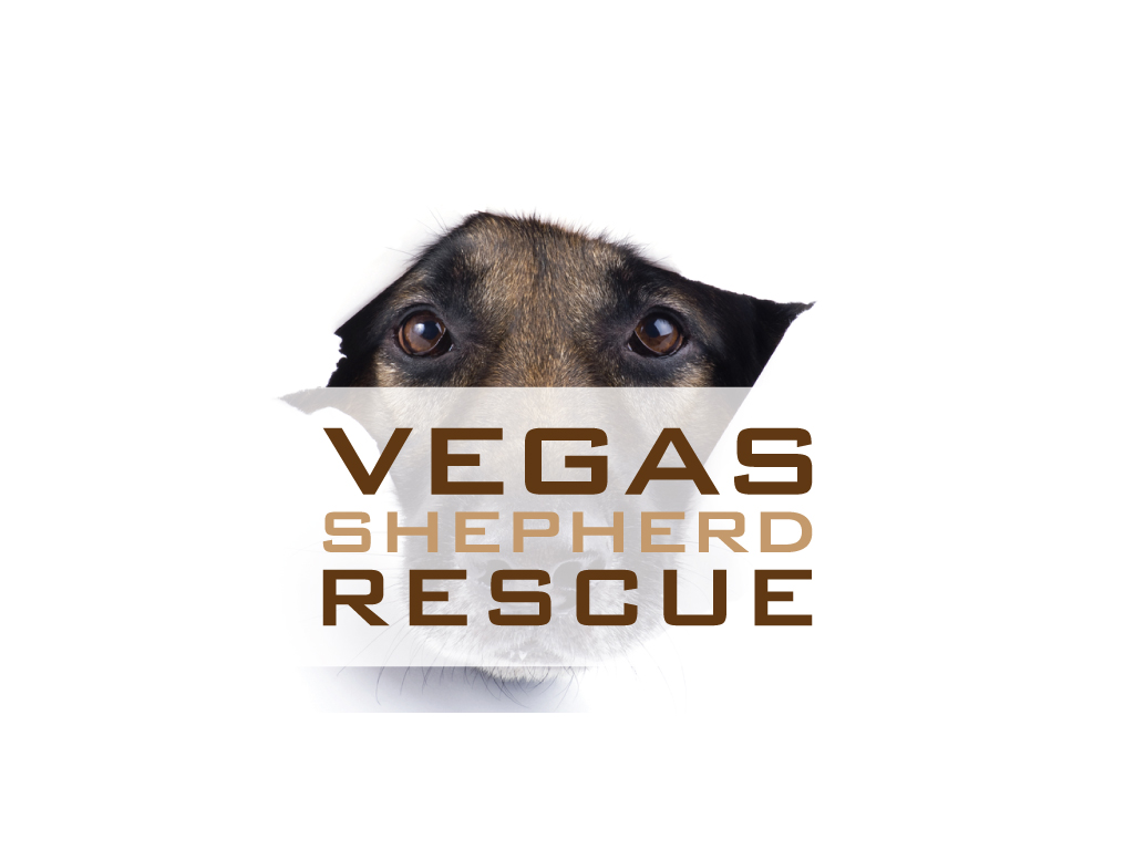 Vegas Shepherd Rescue