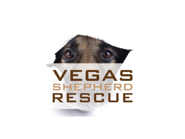 Vegas Shepherd Rescue