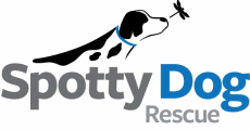 Spotty Dog Rescue, Inc