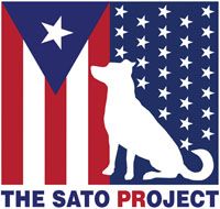 Pets for Adoption at The Sato Project 