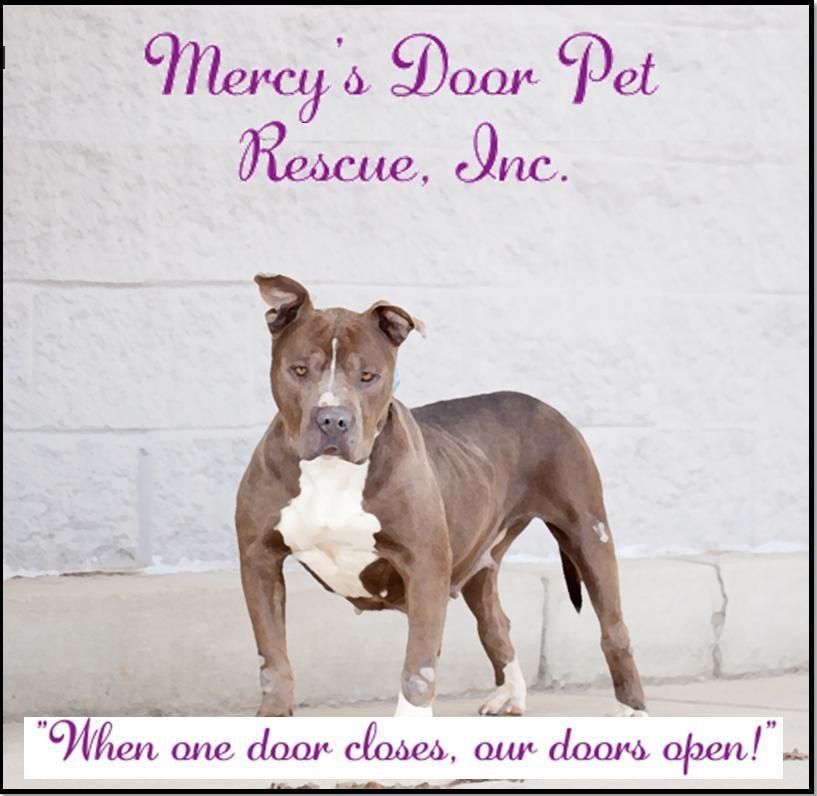 Mercy's Door Pet Rescue Inc.