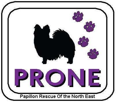 PRONE - Papillon Rescue of the North East