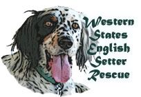 Western States English Setter Rescue
