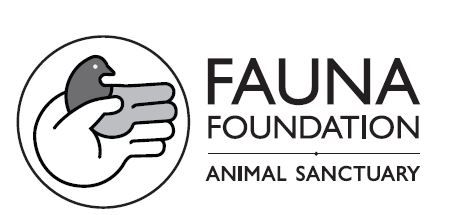 The Fauna Foundation