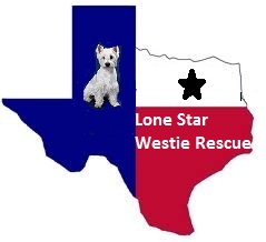 Lone Star Westie Rescue