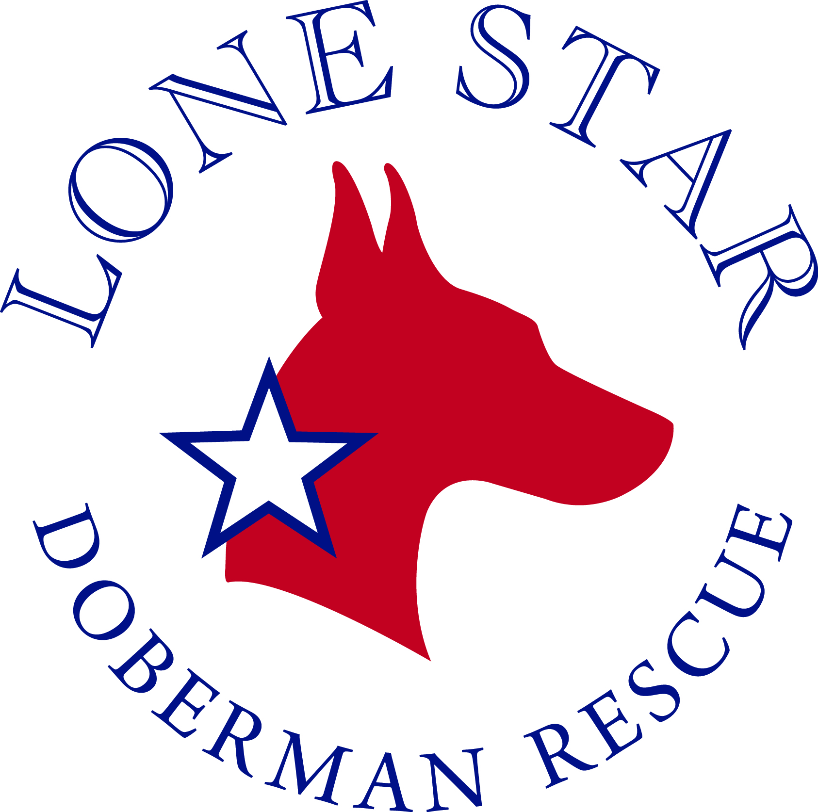 Lonestar dobermans 2024