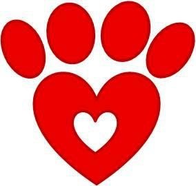TOMcat Animal Rescue