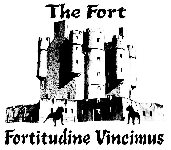 The Fort - Fortitudine Vincimus Rescue Center