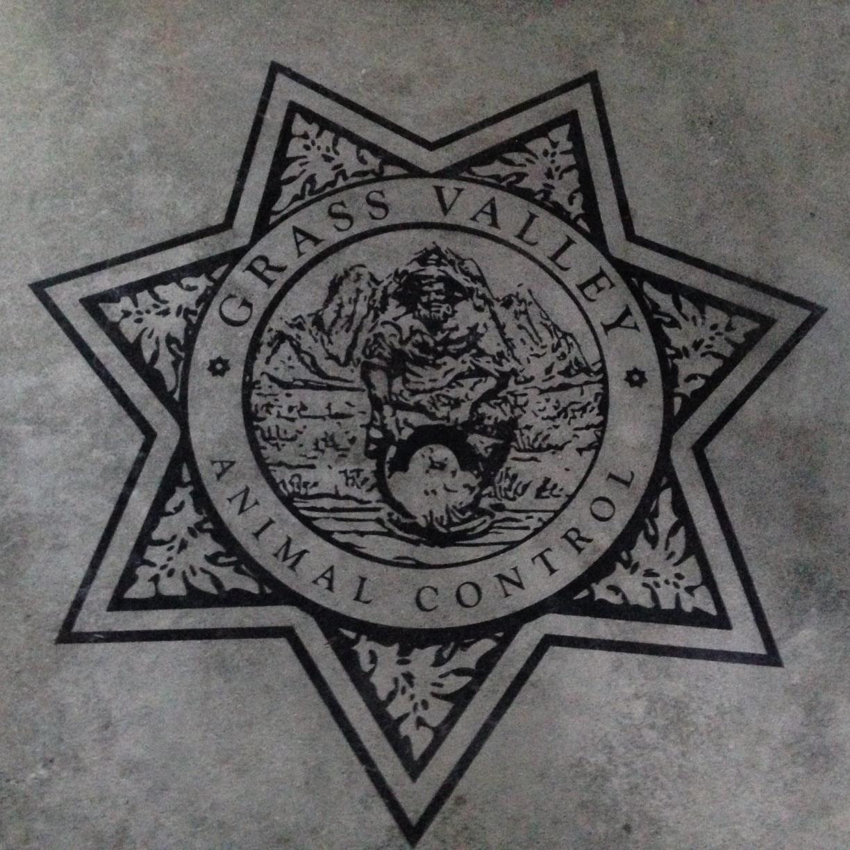 Pets For Adoption At Grass Valley Animal Control In Grass Valley Ca Petfinder