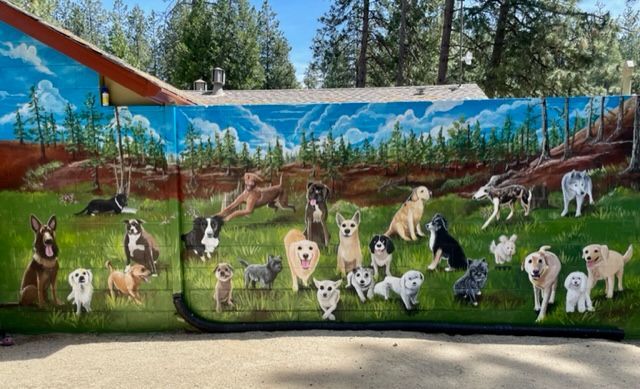 Grass Valley Animal Control