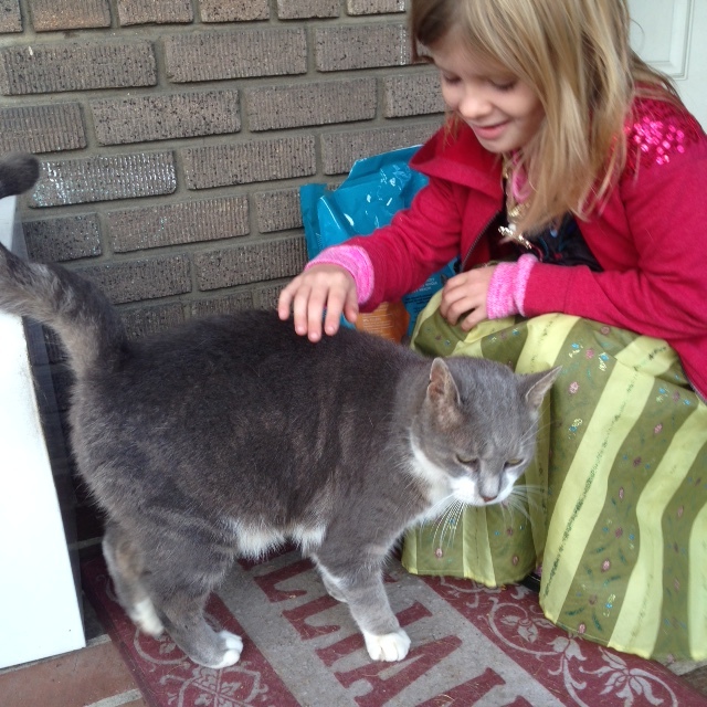 Senior kitty Gandolf enjoying a pet