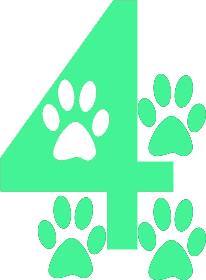 4 Paws Farm, Inc