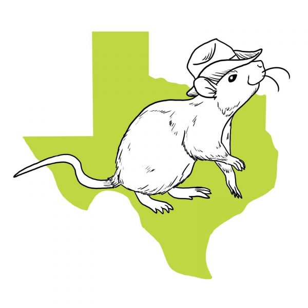 Central Texas Rat Rescue