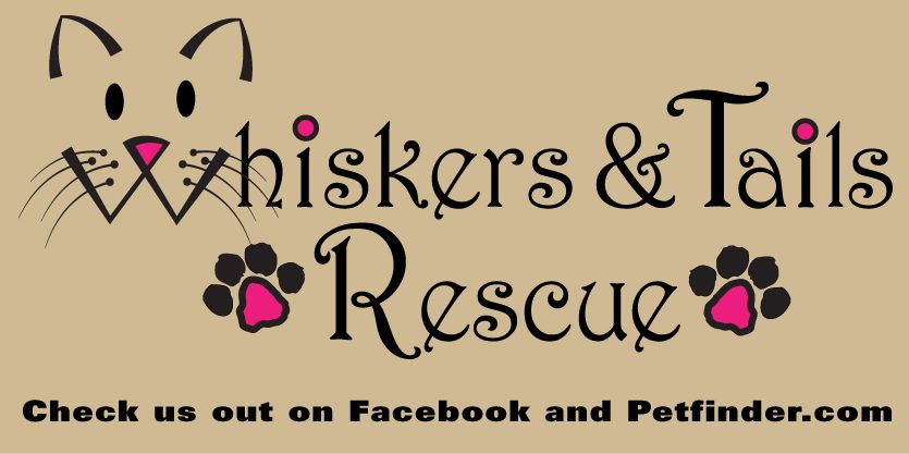 Whiskers & Tails Rescue