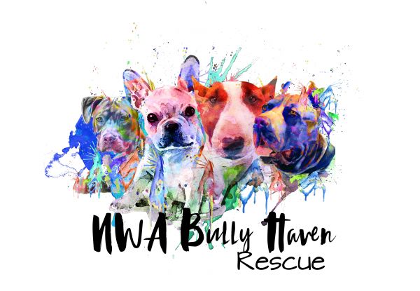 NWA Bully Haven Rescue