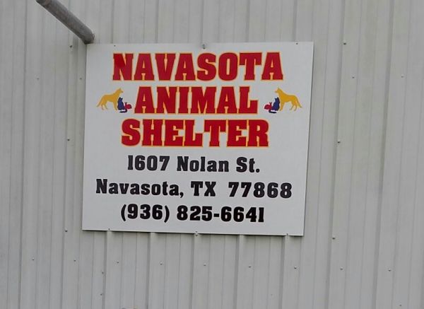 Navasota Animal Shelter