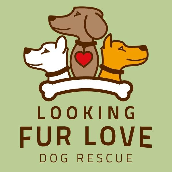 Looking Fur Love Dog Rescue