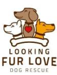 Looking Fur Love Dog Rescue