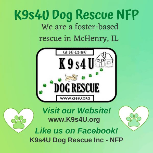 K9s4U Dog Rescue