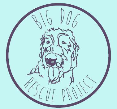 Big Dog Rescue Project