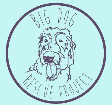 Big best sale dog rescue